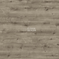 Ламинат Haro Daily Edition 8 mm 541345 Дуб Калла Серый фото 1 | FLOORDEALER